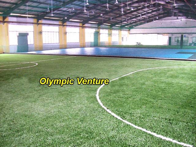Frenzy Futsal's 3 Olymflex rubberized courts and 3 synthetic turf courts