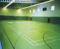 polyurethane surface