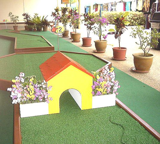miniature golf par 2 with wooden house and garden