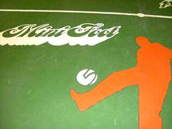 Langkawi's Venture Rubberized Floor with design