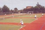 multipurpose courts