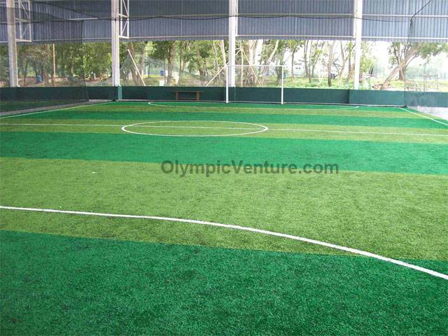 Shah Alam Extreme Park Futsal Centre's 2 toned Tiger Turf