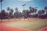 tennis courts